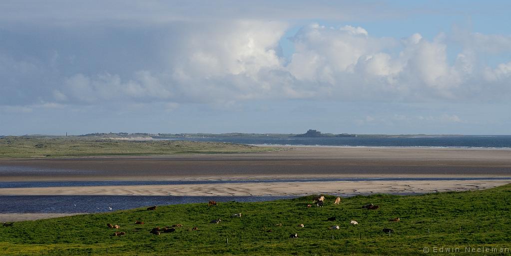 ENE-20120612-0241.jpg - [nl] Budle Bay, Northumberland, Engeland[en] Budle Bay, Northumberland, England